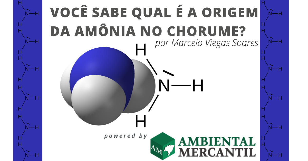 marceloviegas_ltmbrasil_amonia_ambientalmercantil-High-Quality