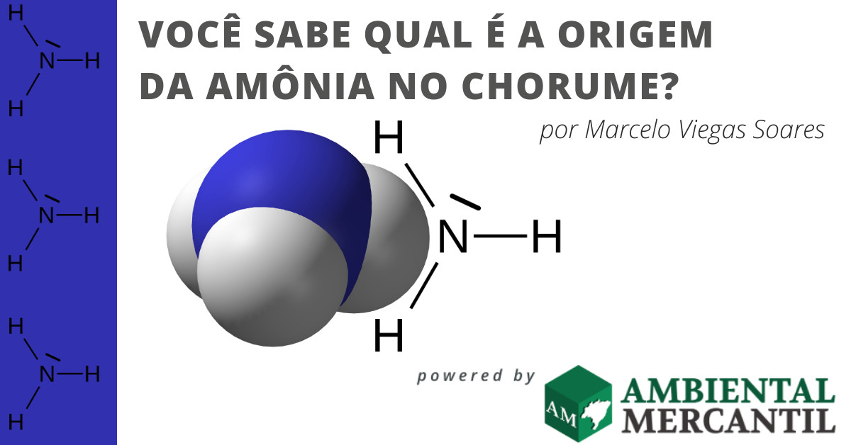 marceloviegas_ltmbrasil_amonia_ambientalmercantil-High-Quality