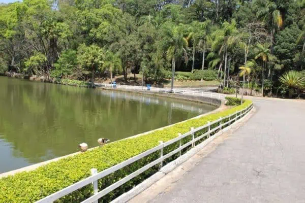 Foto: Parque estadual de São Paulo