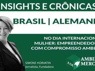 COLUNA INSIGHTS E CRÔNICAS | SIMONE NORVATIN | AMBIENTAL MERCANTIL