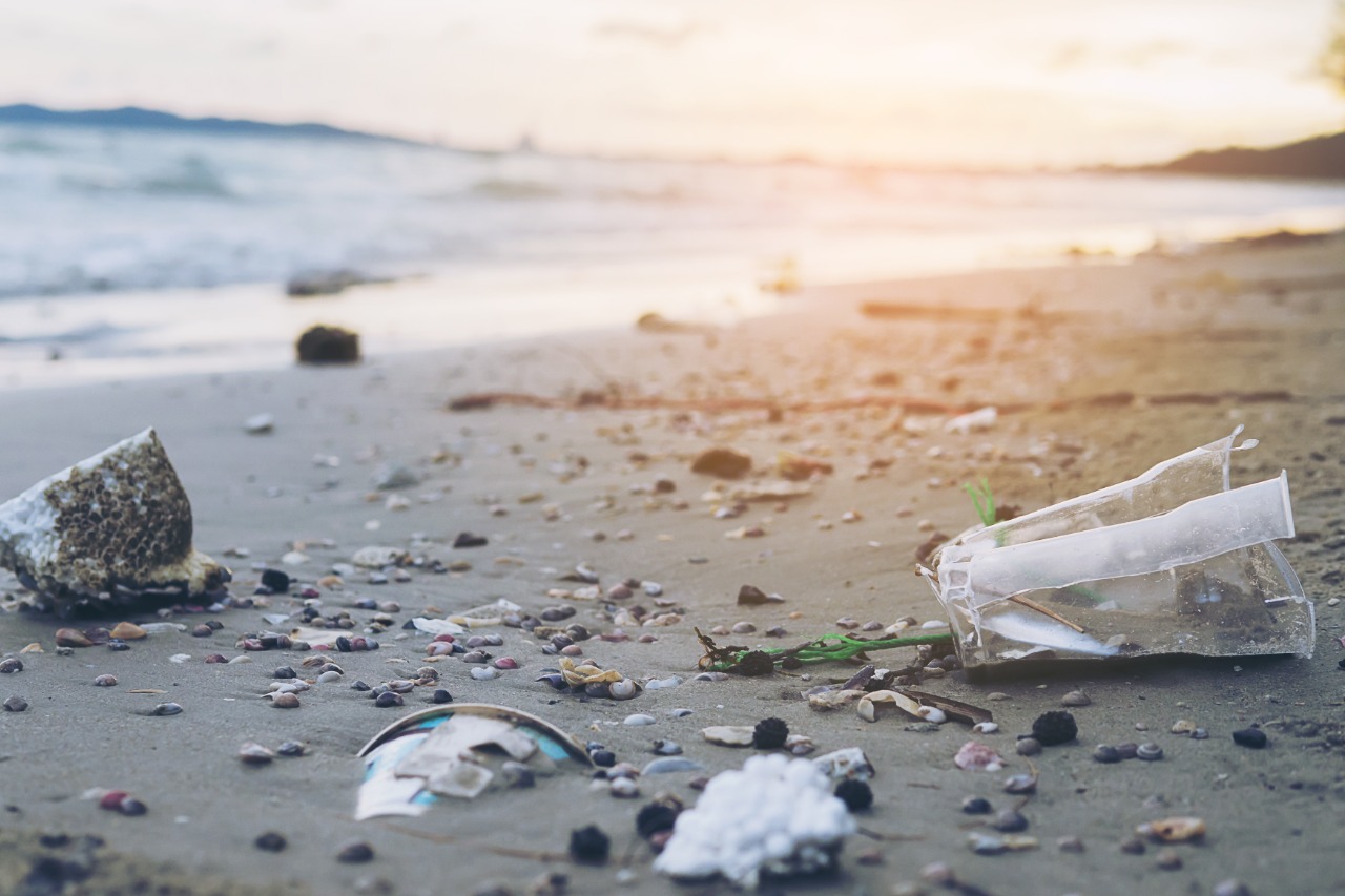 Gestão global de resíduos marinhos se apresenta como alternativa contra poluição