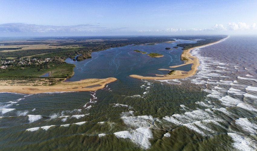 Restauração da bacia do Rio Doce