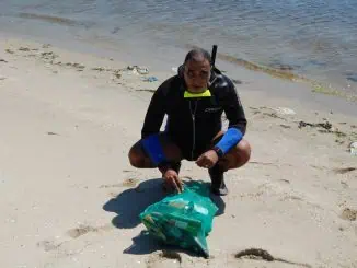 Evolução da Legislação ambiental brasileira para prevenção da poluição por resíduos no mar.Por Eduardo da Silva Videla, Doutor em Biologia Marinha e Ambientes Costeiros pela Universidade Federal Fluminense