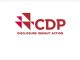 CDP América Latina é uma organização internacional sem fins lucrativos que mede o impacto ambiental de empresas e governos de todo o mundo.
