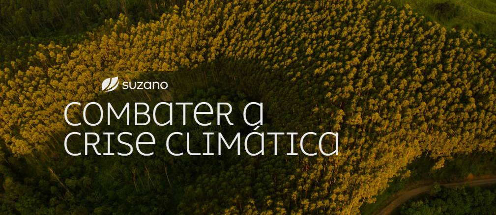 A Suzano assumiu o compromisso de remover mais 40 milhões de toneladas de carbono da atmosfera até 2025.