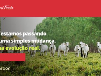 My Carbon é uma subsidiária da Minerva Foods, líder na exportação de carne bovina na América do Sul.