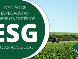 Critérios ESG: ambiental, social e governança