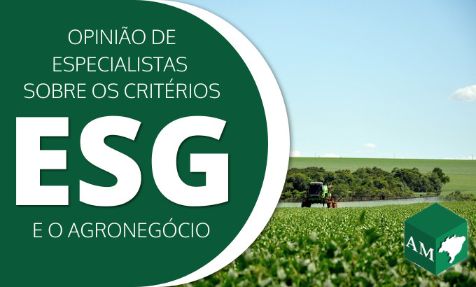 Critérios ESG: ambiental, social e governança