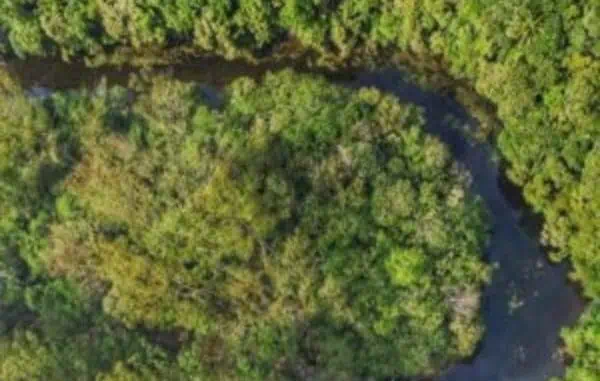No local, são desenvolvidas atividades de ecoturismo, pesquisa científica, educação ambiental, manejo e restauração florestal e participação comunitária.