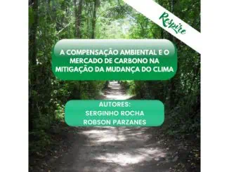 A compensação ambiental e o mercado de carbono na mitigação da mudança do clima.