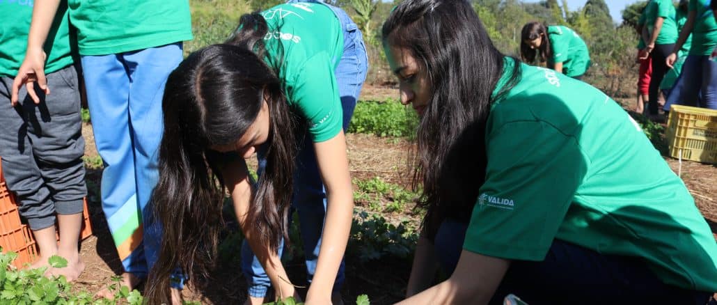 Crianças da instituição IAM aprendem sobre educação ambiental e gestão de resíduos em primeiro dia do projeto Fazendinha, desenvolvido por Grupo Polar e ARCAH.
