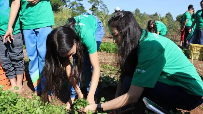 Crianças da instituição IAM aprendem sobre educação ambiental e gestão de resíduos em primeiro dia do projeto Fazendinha, desenvolvido por Grupo Polar e ARCAH.