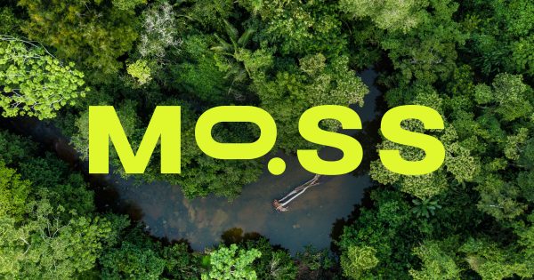 Imagem: Divulgação | Com o crédito de carbono da Moss, é fácil e seguro preservar o planeta