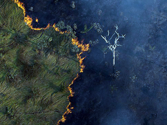 Relatório da Synergia aponta focos de calor na Amazônia. Foto: Bruno Kelly/Amazônia Real. Wikimedia Commons