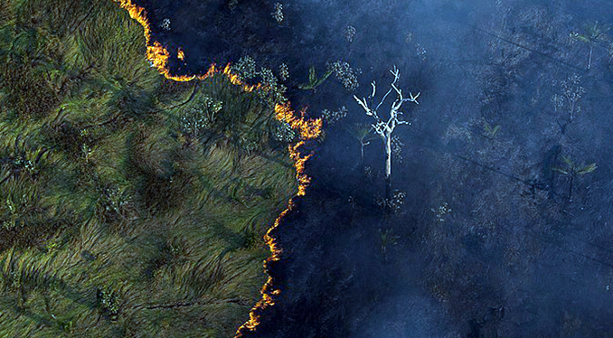Relatório da Synergia aponta focos de calor na Amazônia. Foto: Bruno Kelly/Amazônia Real. Wikimedia Commons