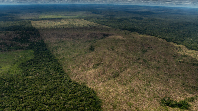 Desmatamento de Floresta Pública Não Destinada em Lábrea (AM) - Foto: Christian Braga
