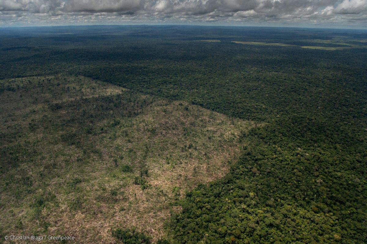 Deforestation of Public Non-Destined Forests in the Amazon in Brazil
Desmatamento de Floresta Pública Não Destinada na Amazônia