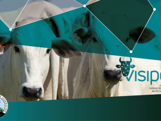 VISIPEC é um sistema desenvolvido para visualizar as cadeias de fornecimento da pecuária brasileira, buscando melhorar a rastreabilidade e fortalecer o monitoramento do desmatamento.