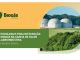 O estudo contém diretrizes para aplicação do biogás nas atividades rurais na agroindústria, usando dejetos de bovinos, suínos, aves e outros.