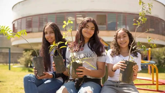 A tarefa de transformar o árido em verde é a missão da formigas-de-embaúba,que promove educação ambiental a partir de projetos de restauração ecológica em escolas públicas.