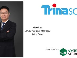 Novos módulos Vertex da Trina Solar ajudam País a expandir geração solar.