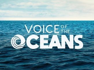Instituto Voz dos Oceanos é responsável por ações da iniciativa Voz dos Oceanos, liderada pela Família Schurmann e que inclui uma expedição – com o apoio global do Programa da ONU para o Meio Ambiente (PNUMA) – para conscientizar a população mundial a respeito do lixo plástico nos oceanos.
