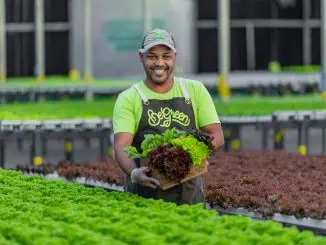 Foto: Bruno Soares | A Begreen nasceu em 2017 do sonho de criar a primeira fazenda urbana da América Latina e já conta com oito unidades.