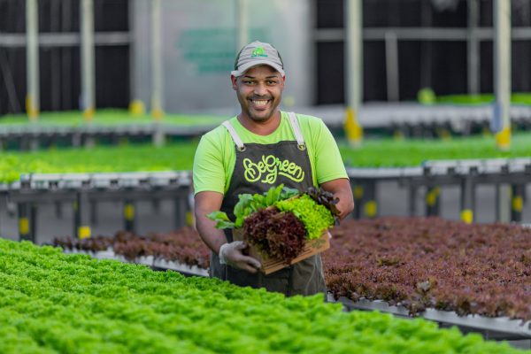 Foto: Bruno Soares | A Begreen nasceu em 2017 do sonho de criar a primeira fazenda urbana da América Latina e já conta com oito unidades.