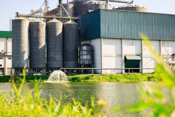 Fumacense Alimentos: referência nacional na produção de arroz e produtos feitos à base desse cereal.