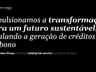 Future Carbon Group. A primeira holding full-service de carbono do Brasil.