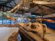 Uma das atrações do Museu é a exposição de Gigantes Marinhos, que contém réplicas de animais marinhos pré-históricos. Há ainda no acervo um esqueleto real da baleia Jubarte, espécie que é avistada com frequência na região do litoral norte de São Paulo (Créditos: Divulgação/Museu da Vida Marinha)