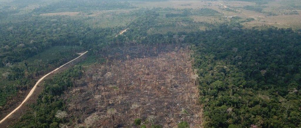 Foto: Operação Verde Brasil - Agência Brasil