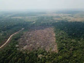 Foto: Operação Verde Brasil - Agência Brasil