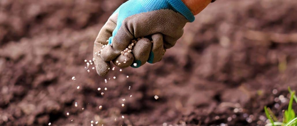 O objetivo é produzir fertilizantes organominerais a partir dessas matérias orgânicas e eliminar o uso de fertilizantes minerais (fósforo e potássio).