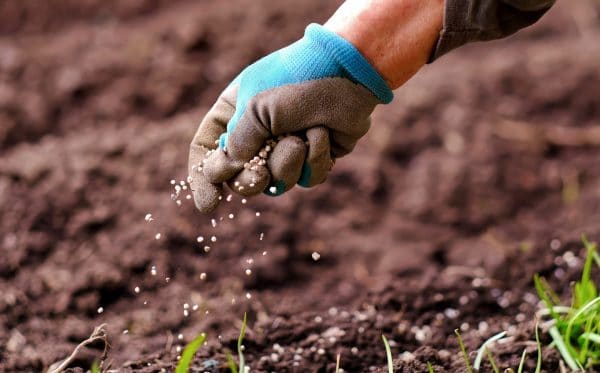 O objetivo é produzir fertilizantes organominerais a partir dessas matérias orgânicas e eliminar o uso de fertilizantes minerais (fósforo e potássio).