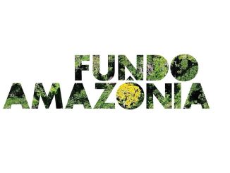 O Fundo Amazônia é um instrumento de financiamento, constituído para receber doações voluntárias.