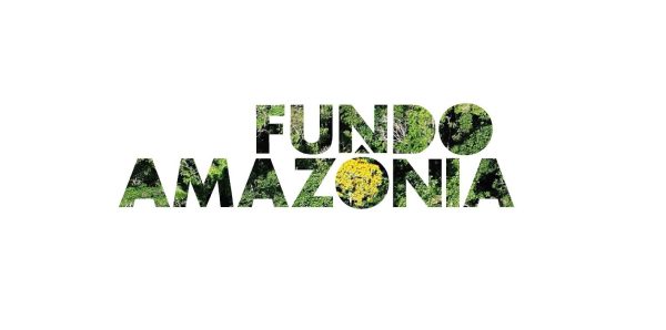 O Fundo Amazônia é um instrumento de financiamento, constituído para receber doações voluntárias.