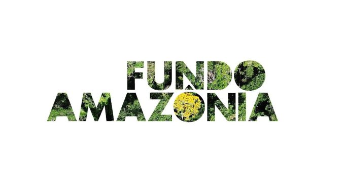 O Fundo Amazônia é um instrumento de financiamento, constituído para receber doações voluntárias.