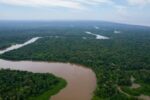 A FSC promove o manejo responsável das florestas brasileiras, conciliando aspectos sociais, ambientais e econômicos.