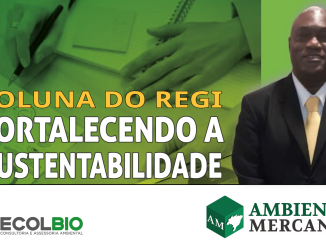 Reginaldo Almeida é Engenheiro Ambiental e colunista do canal AMBIENTAL MERCANTIL com publicações periódicas na sua coluna exclusiva ‘"Fortalecendo a Sustentabilidade"