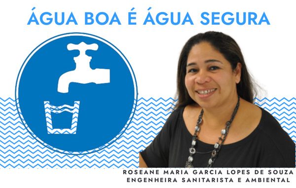 Roseane Maria Garcia Lopes de Souza, Engenheira Sanitarista e Ambiental