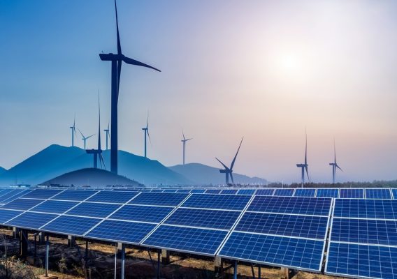 A CELA – Clean Energy Latin America é uma empresa de consultoria para investimentos em energia renovável na América Latina.