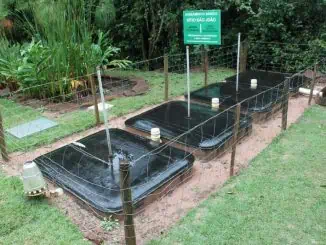 Foto: Pedro Hernandes | A Fossa Séptica Biodigestora, destinada ao tratamento do esgoto doméstico, é uma das tecnologias que serão abordadas no curso "Saneamento Básico Rural".