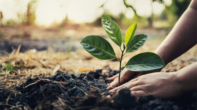 A cada novo cliente, a Zetra planta uma árvore! Por isso, a empresa possui o certificado Amigo da Floresta devido ao seu “Programa Implanta e Planta”, idealizado para ajudar o meio ambiente.