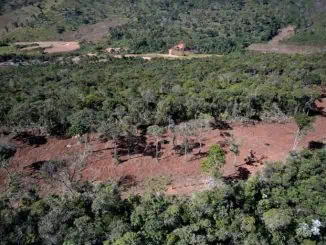 Foto: Douglas Magno | SOS Mata Atlântica