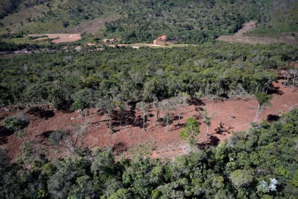 Foto: Douglas Magno | SOS Mata Atlântica