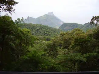 Foto: Divulgação | Parque Nacional da Tijuca, na zona urbana do Rio de Janeiro