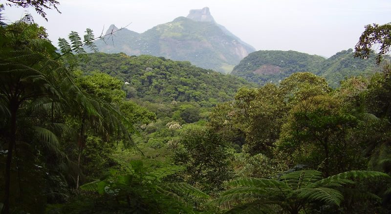 Foto: Divulgação | Parque Nacional da Tijuca, na zona urbana do Rio de Janeiro