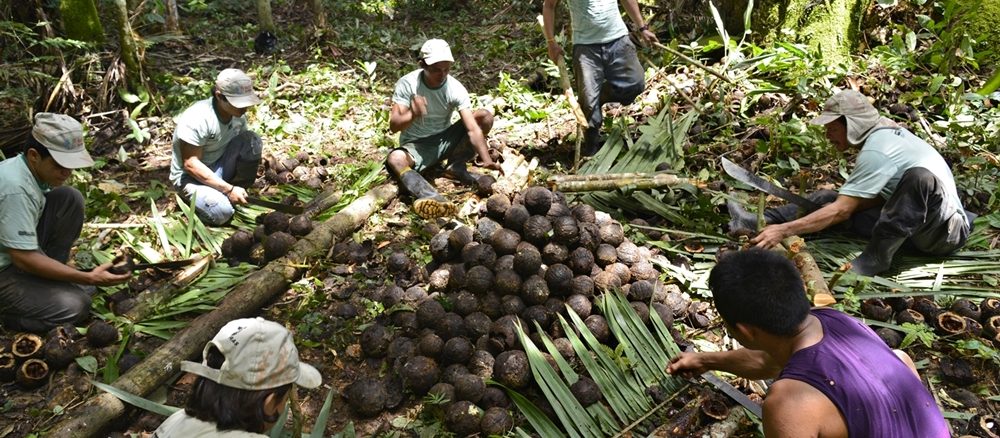 Foto: Adriano Gambarini/OPAN | Terra Indigena Caititu, SAO SEBASTIAO, Indios Apurinã, Labrea, AM