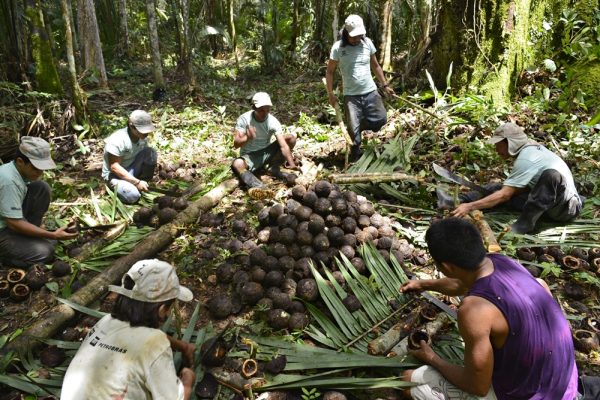 Foto: Adriano Gambarini/OPAN | Terra Indigena Caititu, SAO SEBASTIAO, Indios Apurinã, Labrea, AM